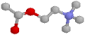 the acetylcholine molecule. CLICK HERE!