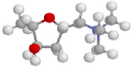 the muscarine molecule. CLICK HERE!