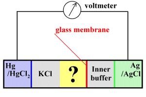 The glass electrode