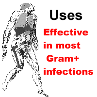 Uses of teicoplanin: effective in most gram positive infections