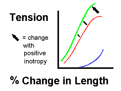 Diagram of effects of inotropy on isometric length-tension curve: POSITIVE inotropy shifts the curve up and to the left