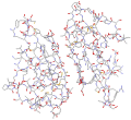 the alpha-bungarotoxin molecule. CLICK HERE!