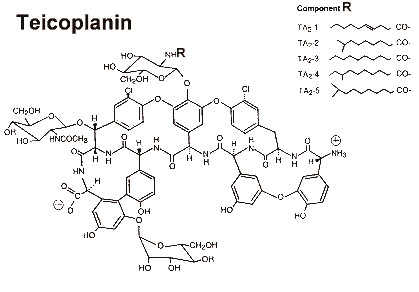 The teicoplanin molecule, showing 5 different substituents