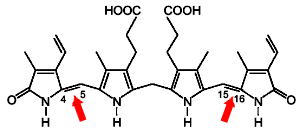 The bilirubin molecule