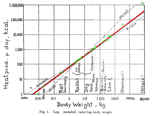 The original 
log-log plot from Kleiber's 1947 paper